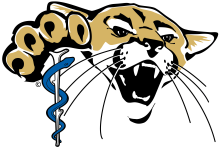 Athletic training emblem color