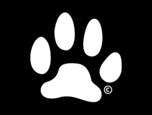 Paw print white on black
