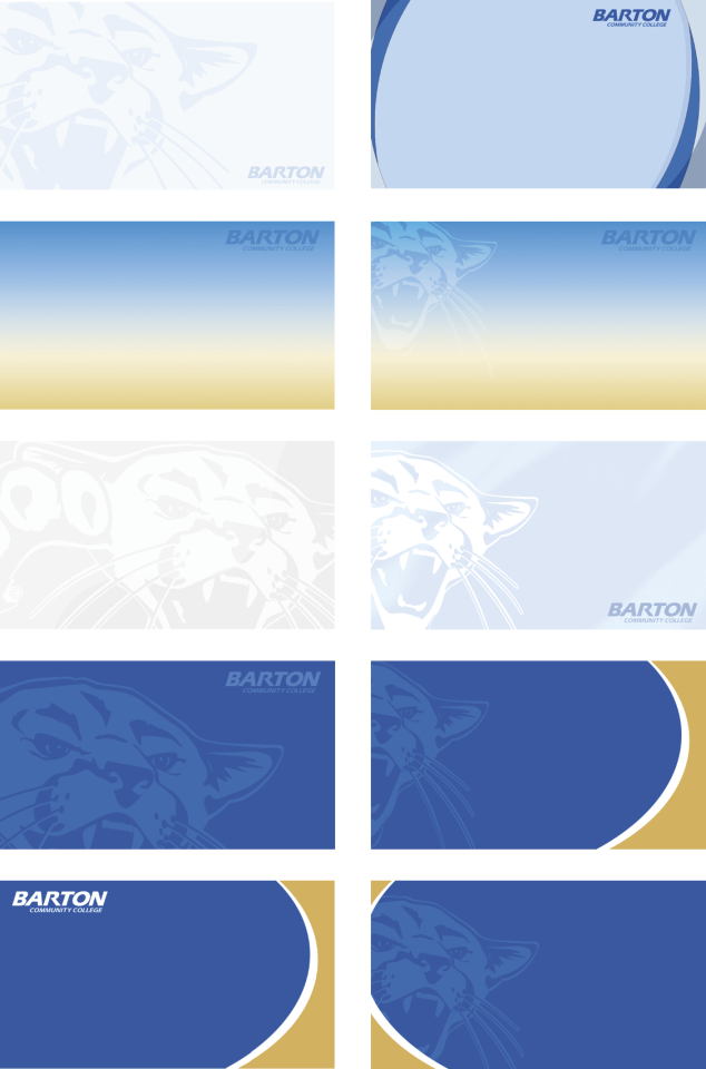 Zoom background examples