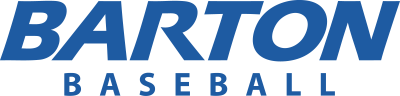 Baseball wordmark blue