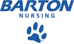Nursing mascot pairing example two