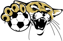 Soccer emblem color