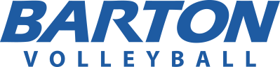 Volleyball wordmark blue