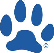 Paw print blue
