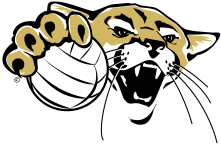 Volleyball emblem color