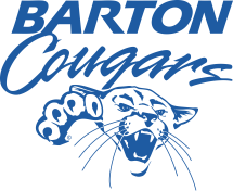 Mascot logo vertical blue