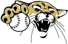 Softball emblem color