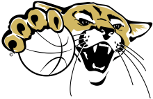 Basketball emblem color