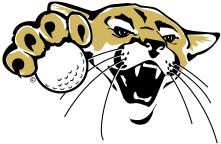 Golf emblem color