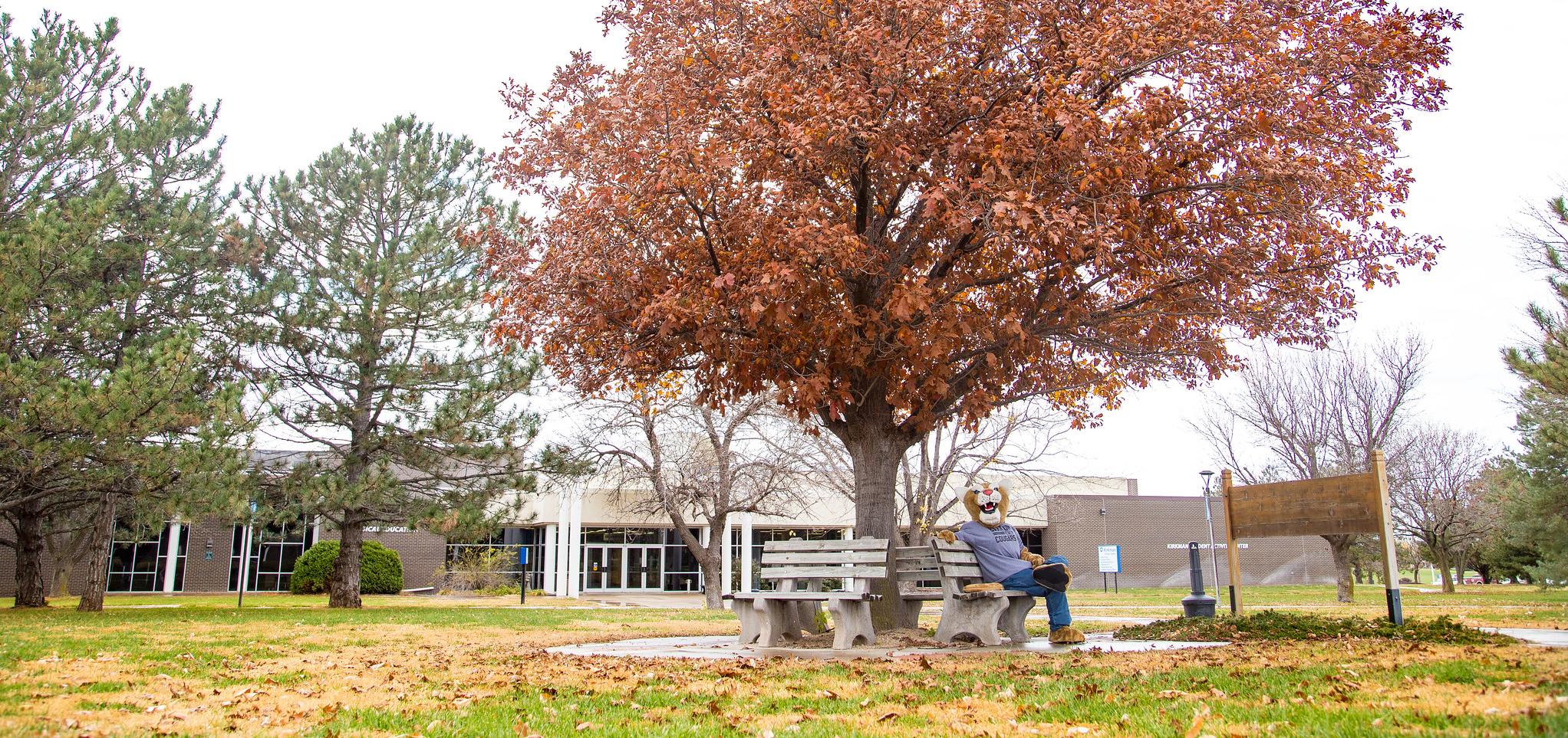 Bart sits on a bench on campus in the fall